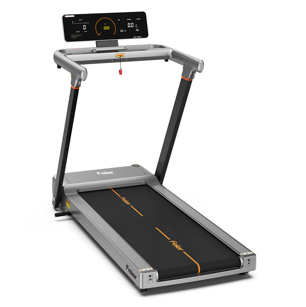 Treadmill run 100 new arrivals